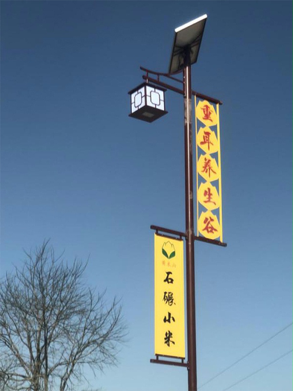 特色路灯 太阳能路灯 南德陕西太阳能路灯